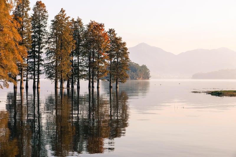 Nature Image
